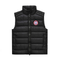 Goose vest